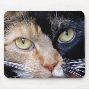 Alfombrilla De Ratón Mousepad de gato calico