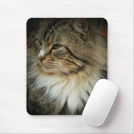 Alfombrilla De Ratón Mousepad de gato forestal noruego