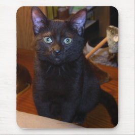 Alfombrilla De Ratón Mousepad de gato negro lindo