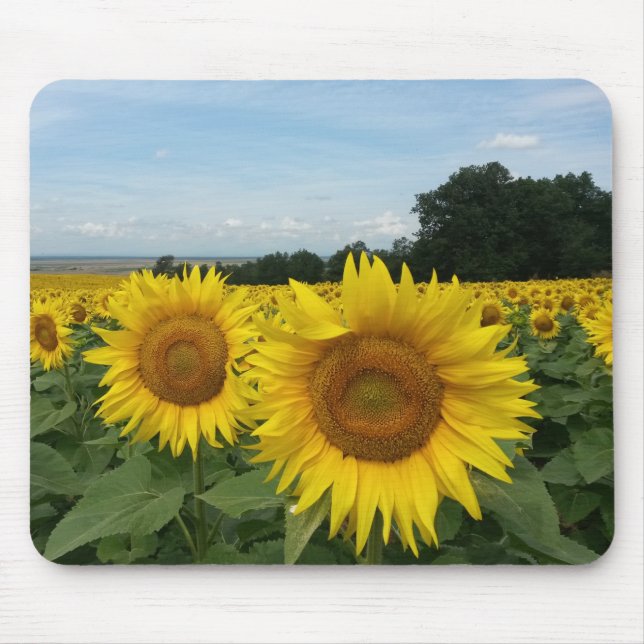 Alfombrilla De Ratón Mousepad de girasol (Frente)