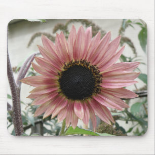 Alfombrilla De Ratón Mousepad de girasol rosa pálido