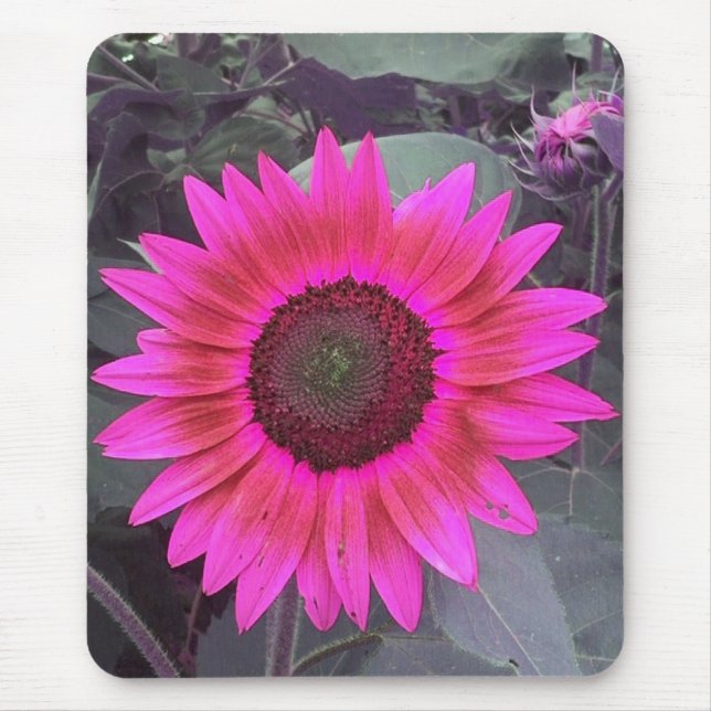 Alfombrilla De Ratón Mousepad de girasol rosado neón (Frente)