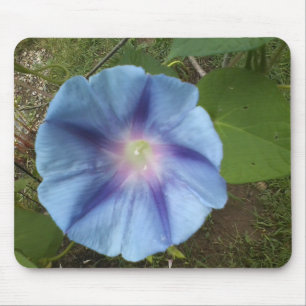 Alfombrilla De Ratón mousepad de gloria de la mañana azul