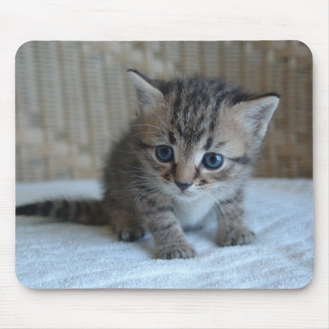 Alfombrilla De Ratón Mousepad de Habu (Frente)