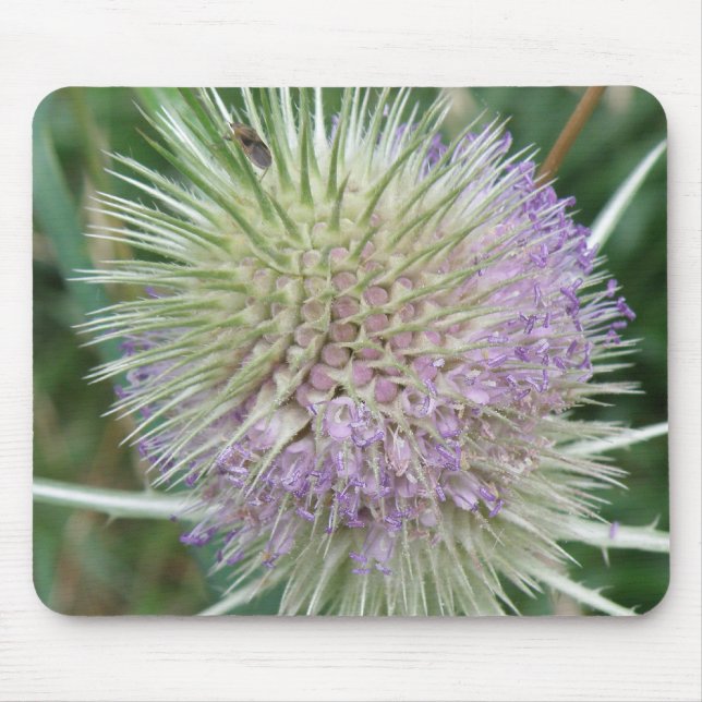 Alfombrilla De Ratón Mousepad de hierba silvestre con flores (Frente)