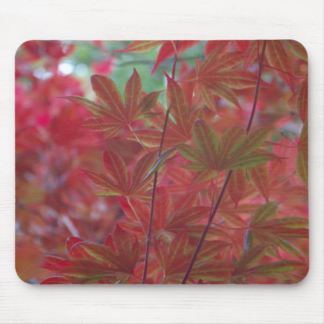 Alfombrilla De Ratón Mousepad de hoja de arce (Frente)