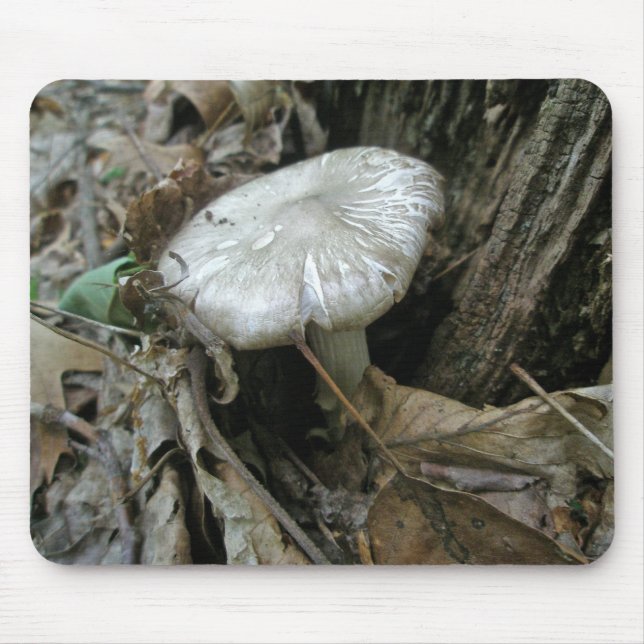 Alfombrilla De Ratón Mousepad de hongo de seda blanca (Frente)