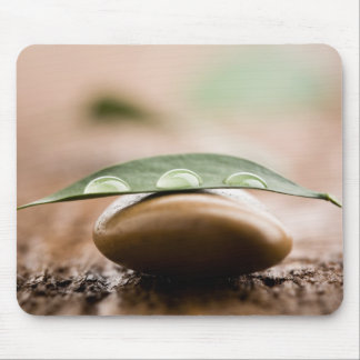 Alfombrilla De Ratón Mousepad de la balanza