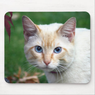 Alfombrilla De Ratón Mousepad de la cara del gato siamés