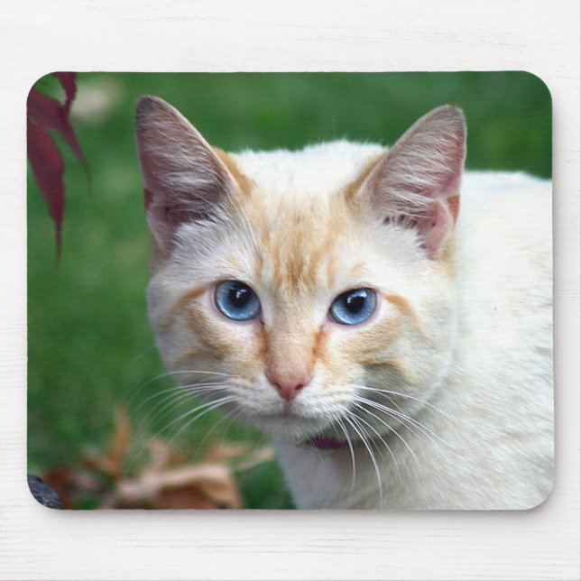 Alfombrilla De Ratón Mousepad de la cara del gato siamés (Frente)