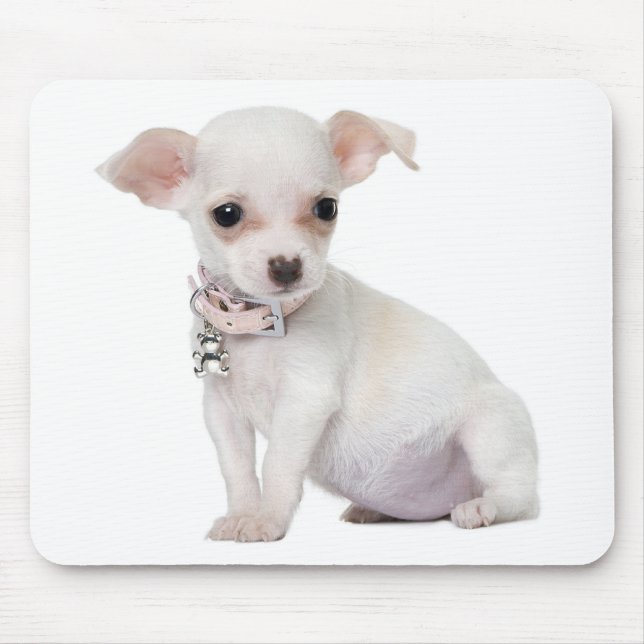 Alfombrilla De Ratón Mousepad de la Computadora de Perro Chihuahua (Frente)