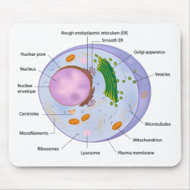 Alfombrilla De Ratón Mousepad de la estructura de célula