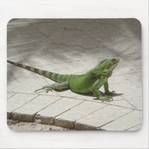 Alfombrilla De Ratón Mousepad de la iguana
