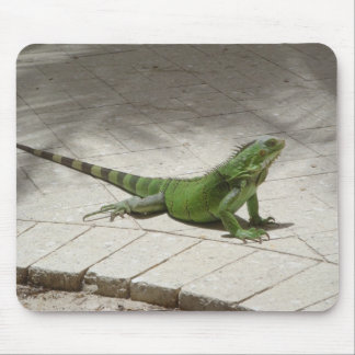 Alfombrilla De Ratón Mousepad de la iguana