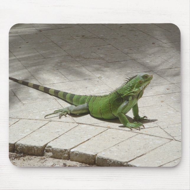 Alfombrilla De Ratón Mousepad de la iguana (Frente)