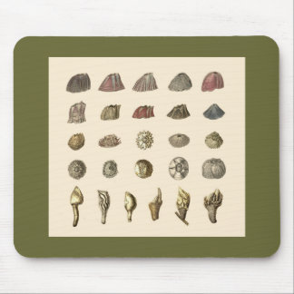 Alfombrilla De Ratón Mousepad de la lapa