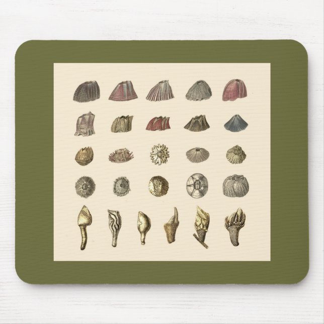 Alfombrilla De Ratón Mousepad de la lapa (Frente)