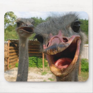 Alfombrilla De Ratón Mousepad de la Pareja de Ostrich