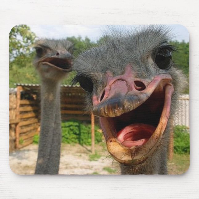 Alfombrilla De Ratón Mousepad de la Pareja de Ostrich (Frente)