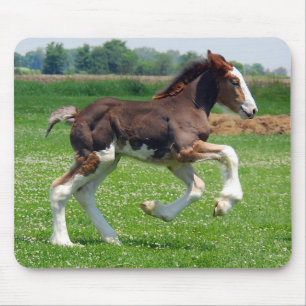 Alfombrilla De Ratón Mousepad de la potra de Clydesdale