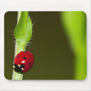 Alfombrilla De Ratón Mousepad de Ladybeetle
