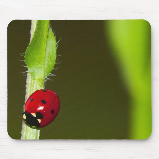 Alfombrilla De Ratón Mousepad de Ladybeetle (Frente)