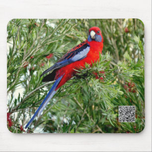 Alfombrilla De Ratón Mousepad de loro rojo