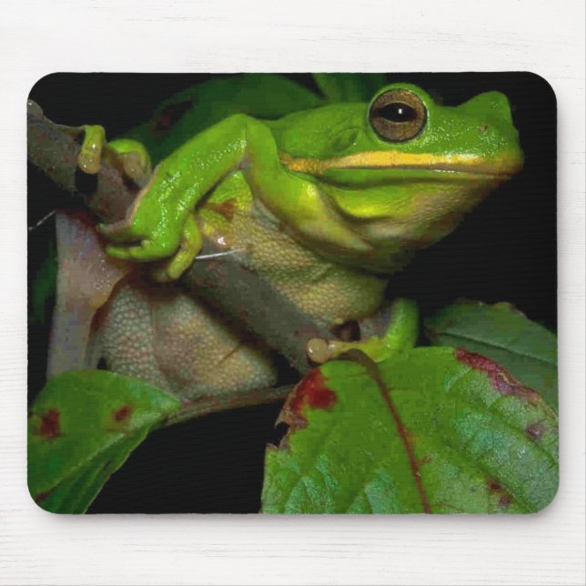 Alfombrilla De Ratón Mousepad de los amantes de la rana (Frente)