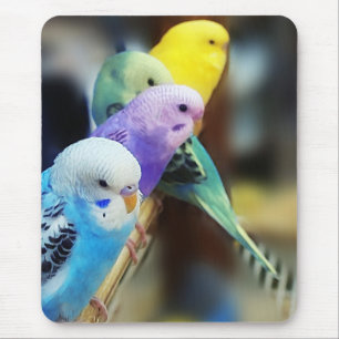 Alfombrilla De Ratón Mousepad de los Parakeets