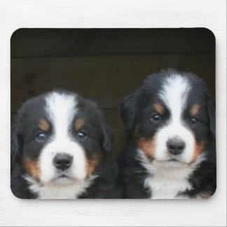 Alfombrilla De Ratón Mousepad de los perritos del perro de montaña de