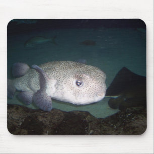 Alfombrilla De Ratón Mousepad de los pescados del fumador