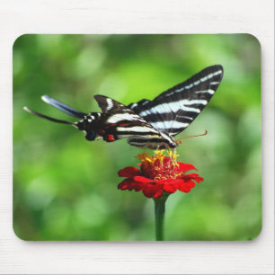 Alfombrilla De Ratón Mousepad de mariposa cebra