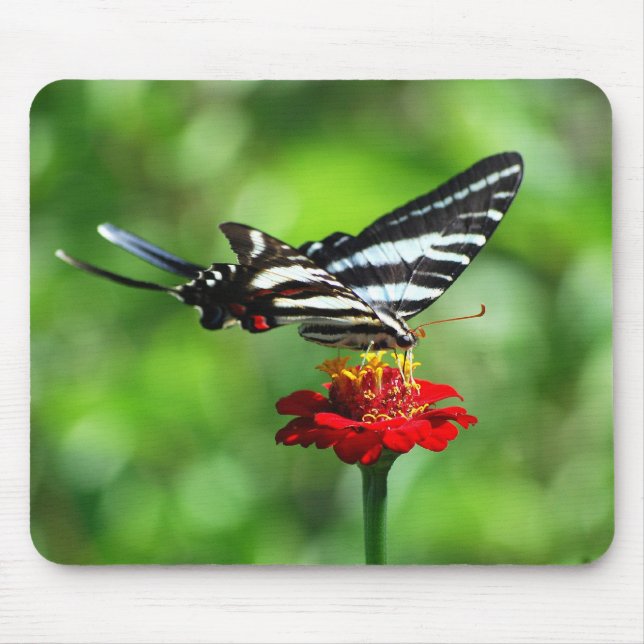 Alfombrilla De Ratón Mousepad de mariposa cebra (Frente)