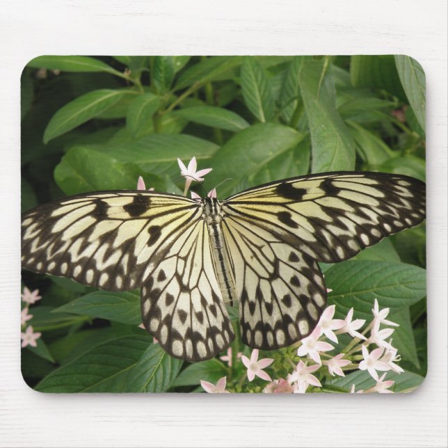 Alfombrilla De Ratón Mousepad de mariposa de cometa de papel (Frente)