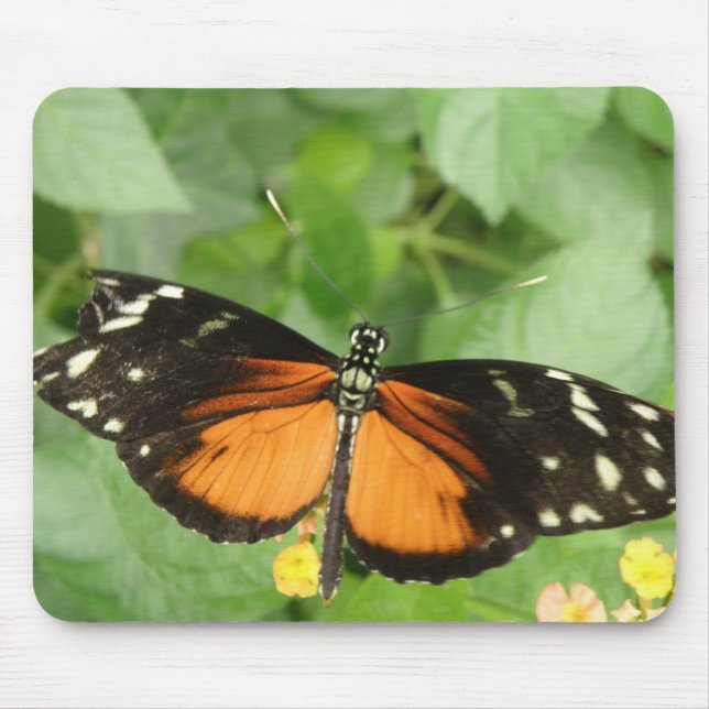 Alfombrilla De Ratón Mousepad de mariposa de largo de tigre (Frente)