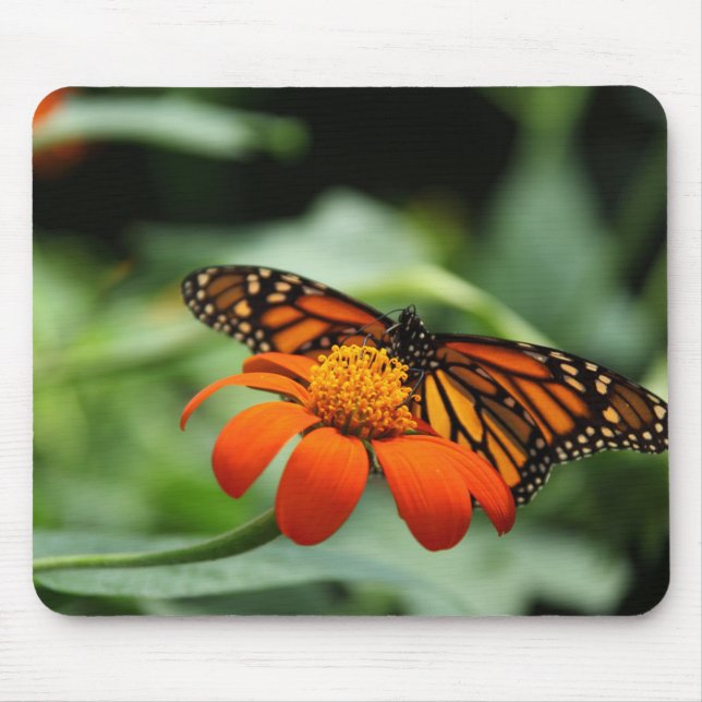 Alfombrilla De Ratón Mousepad de mariposa monarca (Frente)