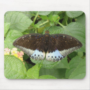 Alfombrilla De Ratón Mousepad de mariposa tropical bonito