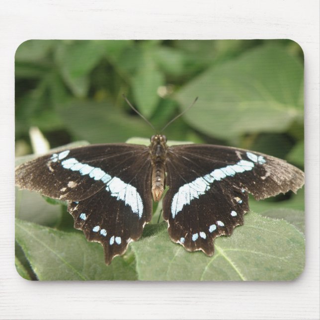 Alfombrilla De Ratón Mousepad de mariposa tropical negra y blanca (Frente)