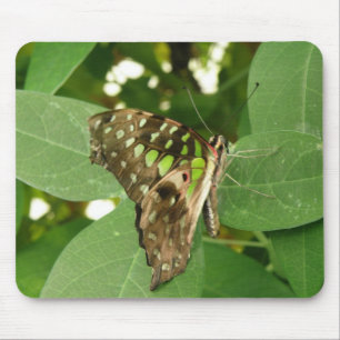 Alfombrilla De Ratón Mousepad de mariposa verde tropical irlandés