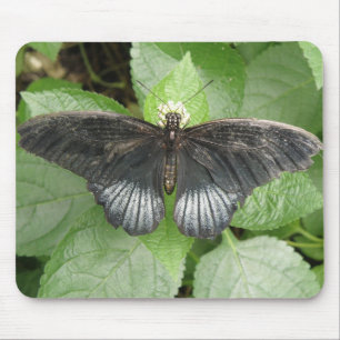 Alfombrilla De Ratón Mousepad de mariposa y flores tropicales de bonito