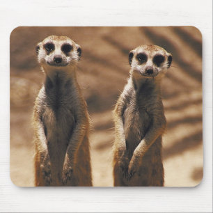 Alfombrilla De Ratón Mousepad de Meerkat