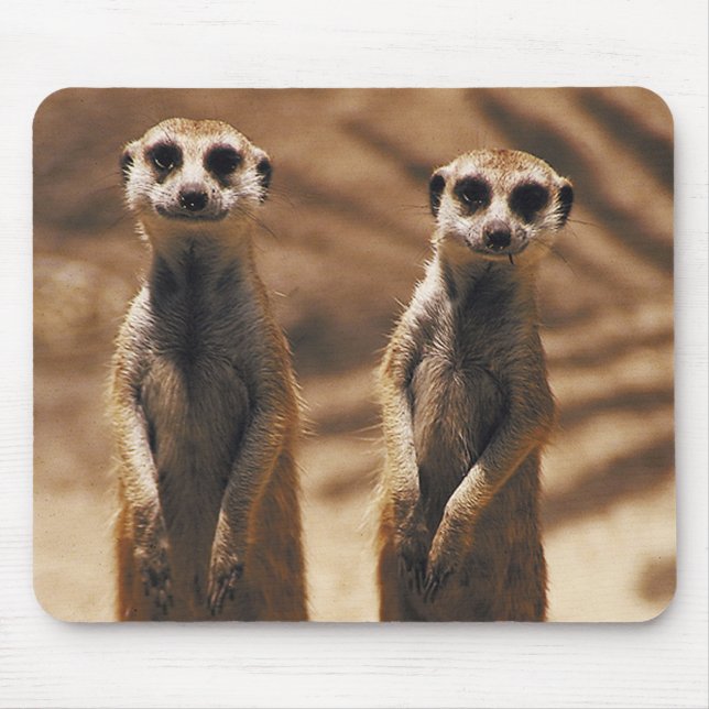 Alfombrilla De Ratón Mousepad de Meerkat (Frente)