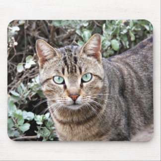 Alfombrilla De Ratón Mousepad de ojos verdes del gato de Tabby