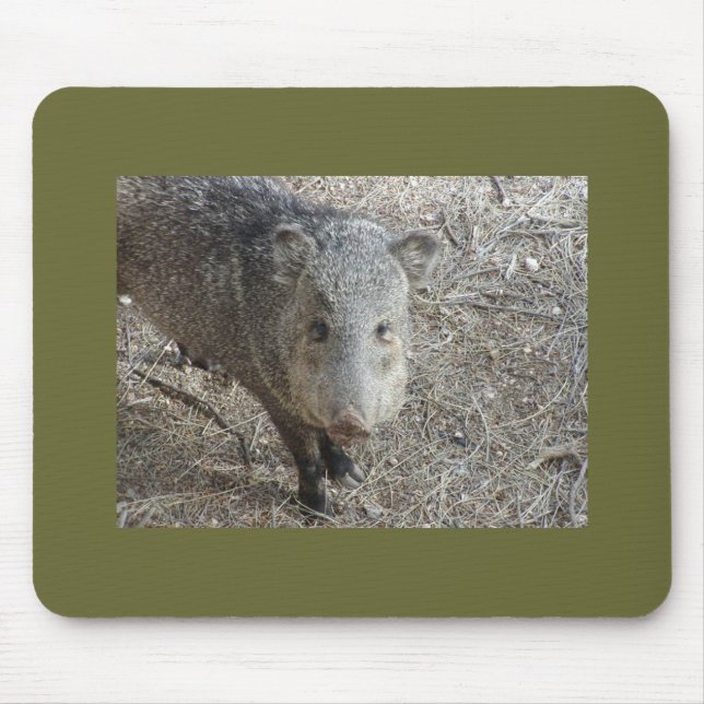 Alfombrilla De Ratón Mousepad de P1010073 Javelina (Frente)