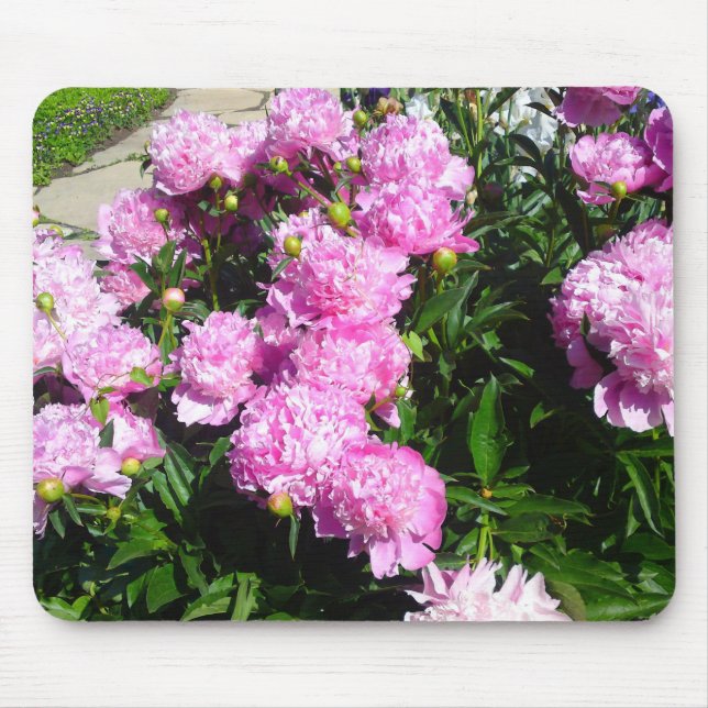 Alfombrilla De Ratón Mousepad de Peony Rosa Blanco (Frente)