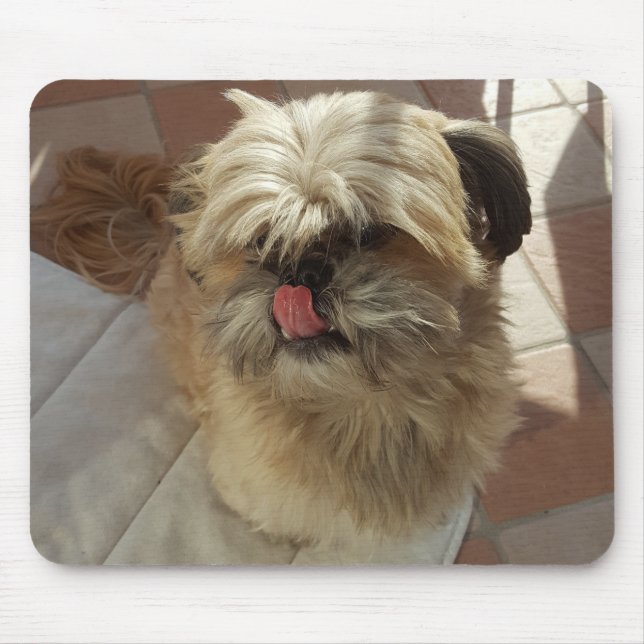 Alfombrilla De Ratón Mousepad de perro chih Tzu (Frente)