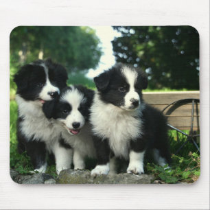 Alfombrilla De Ratón Mousepad de Perro de Collie Fronterizo