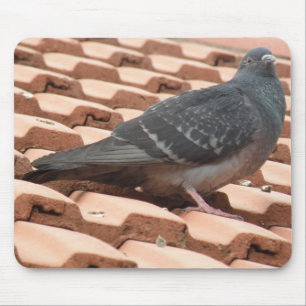 Alfombrilla De Ratón Mousepad de pichón