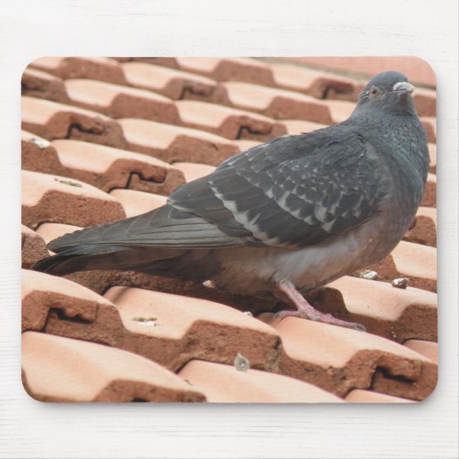 Alfombrilla De Ratón Mousepad de pichón (Frente)