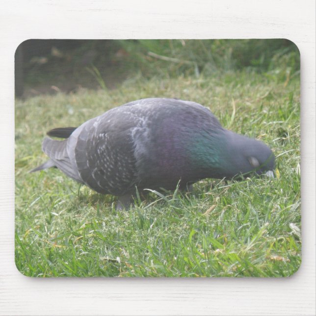 Alfombrilla De Ratón Mousepad de pichón dormido (Frente)